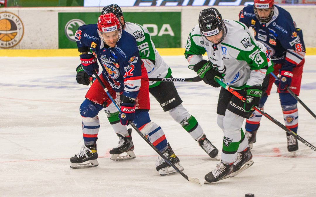 Býci vezú zo Zvolena bod