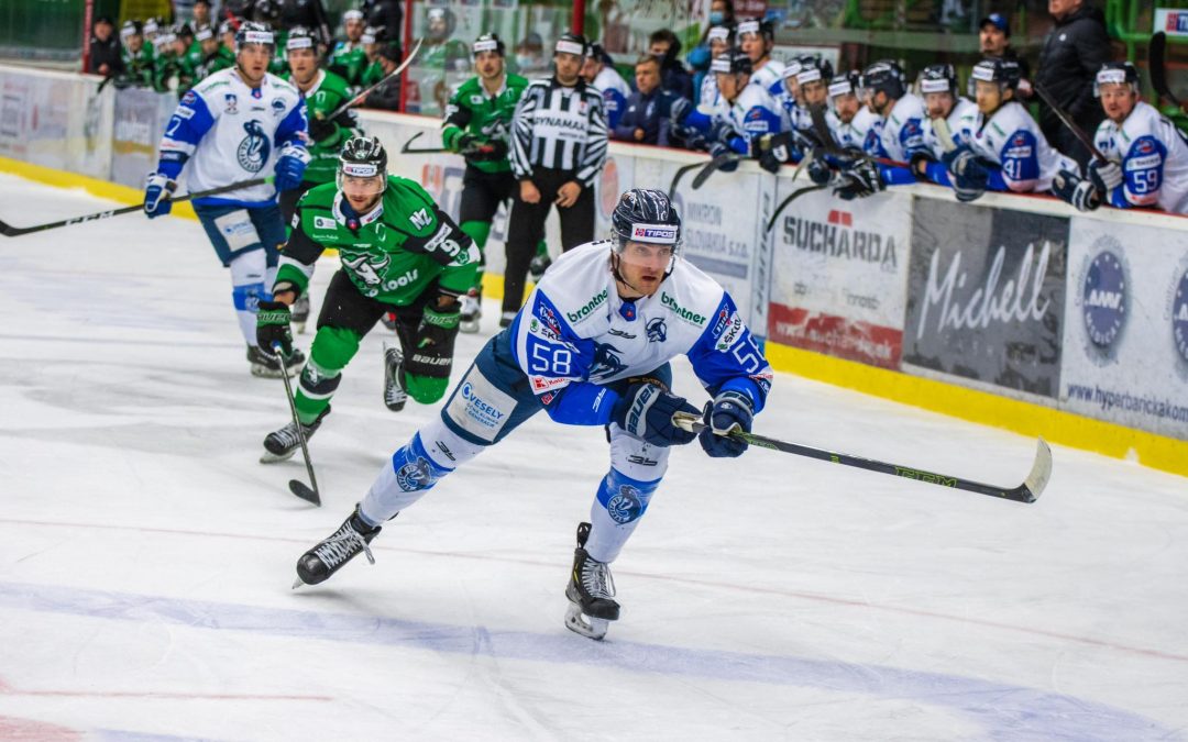 Býci doma nestačili na Kamzíkov