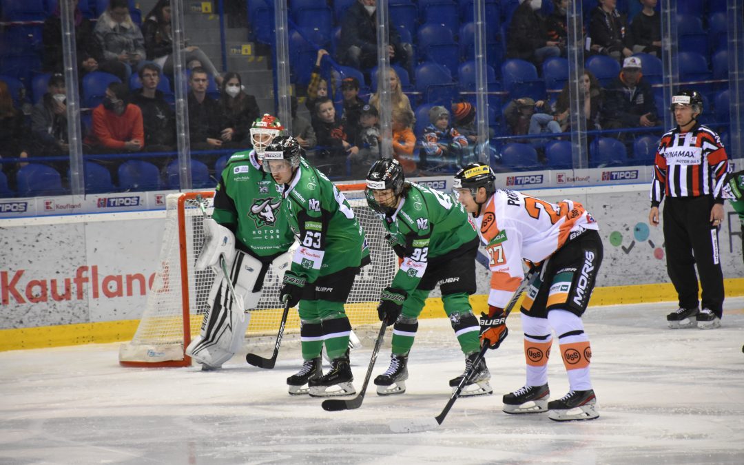 Býci na východe Slovenska neuspeli